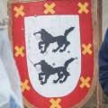 img_1337-ferbi-shield-cut.jpg